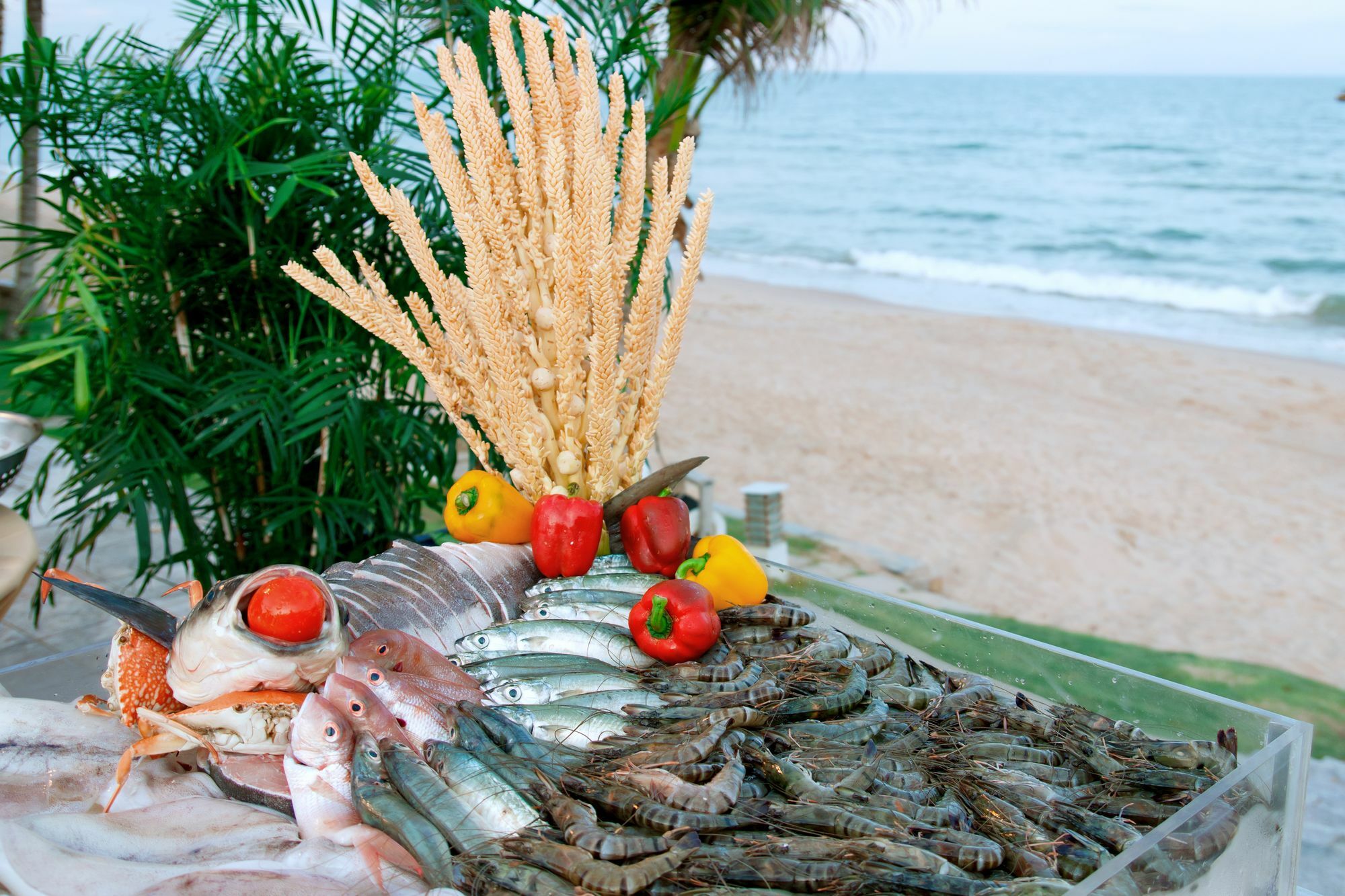 Villa Del Sol Beach Resort & Spa Phan Thiết Eksteriør billede